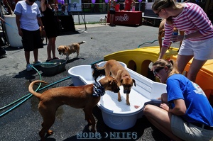 005755 2012 04 29 NoDa Nites