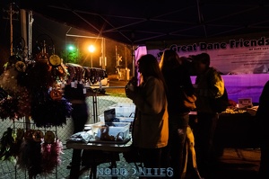 008955 2012 11 10 NoDa Nites